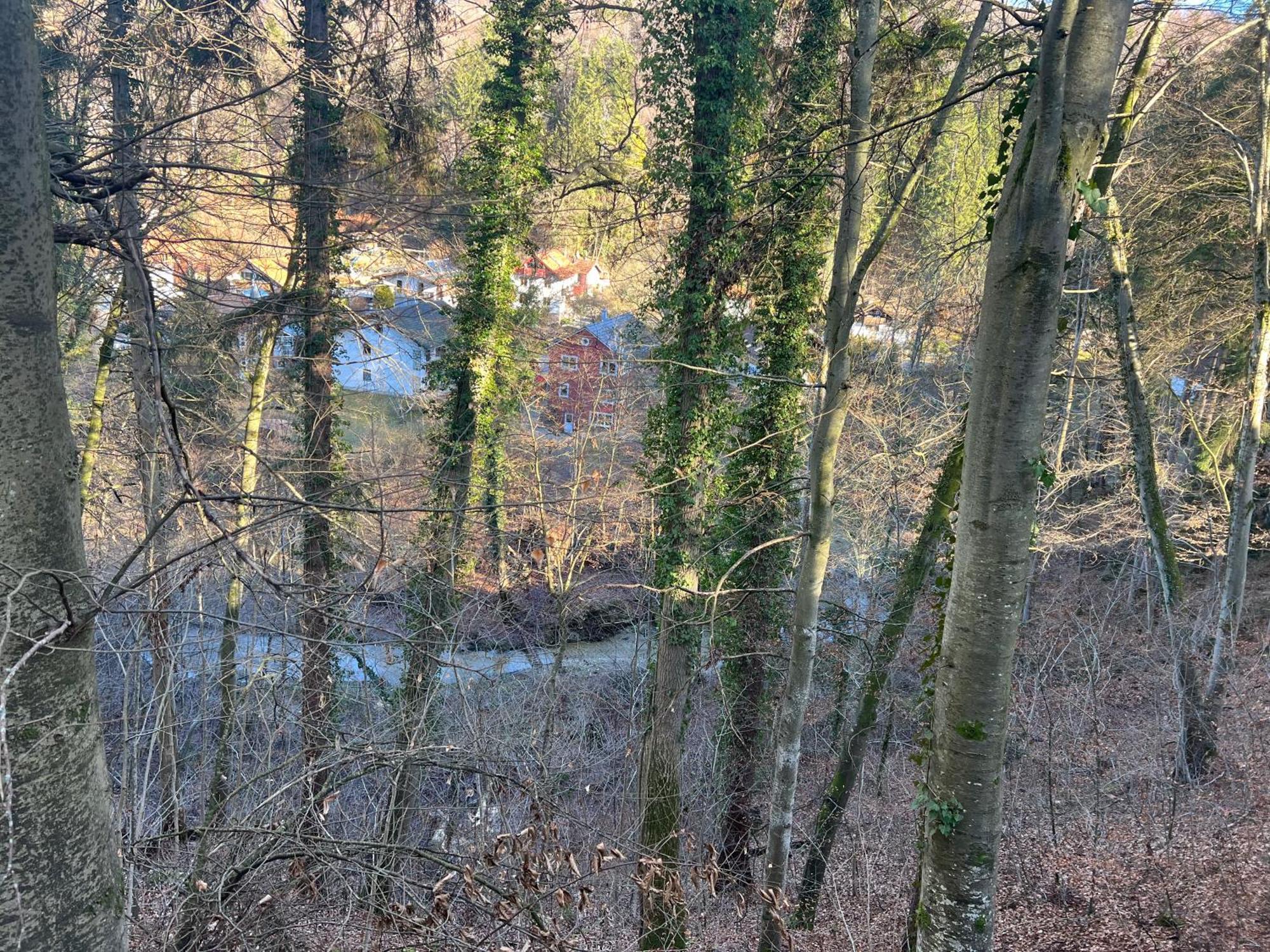 Liboria I Villa Mit Seeblick 10Min Vom See 헤르슁 암 아머제 외부 사진